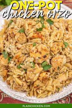 one pot chicken orzo recipe on a white plate with text overlay that reads, one pot chicken orzo