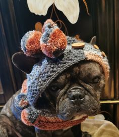 🐾I offer a lovingly hand-knitted pixie hat for French bulldogs/pugs/medium dogs.🐾 The hat is particularly cute and cozy and warm. It is knitted from very soft cuddly wool (color gradient - rust/gray) in a coffee bean pattern. Pixie hats are a scarf and hat in one and are simply pulled over your head. At the back there is a small cord that can be tied at the neck to change the width. The small bobbles on the side are removable. At the top of the hat there are 3 mini pompoms with a tied cord. De French Bulldog Knitted Hat Pattern, Pixie Hats, Scarf And Hat, Pixie Hat, Color Gradient, Medium Sized Dogs, Wooden Buttons, French Bulldogs, Coffee Bean