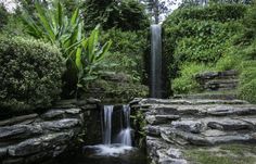 there is a small waterfall in the middle of some rocks and plants on the other side