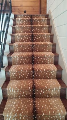 some brown and white stairs with deer spots on them