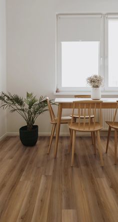 a table and chairs in a room with wood flooring, potted plant and window