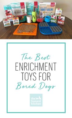 the best enrichment toys for bored dogs are on display in front of books