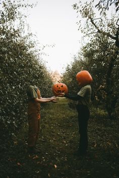 two people holding pumpkins in an apple orchard