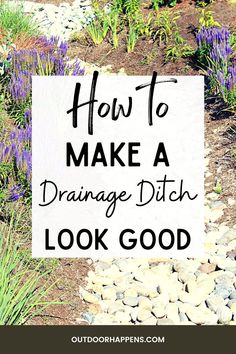 a sign that says how to make a drainage ditch look good with purple flowers in the background