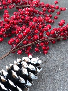 red berries and pine cones are on the ground next to a branch with white tips