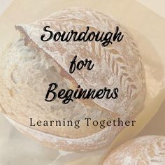 sourdough for beginners learning together