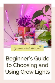 the beginner's guide to choosing and using grow lights for indoor plant care