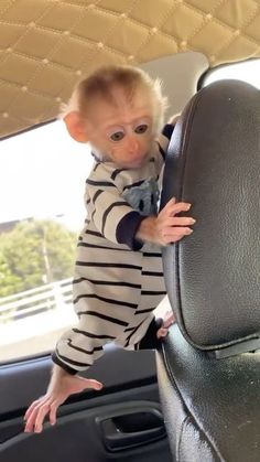 a small child is holding onto the back seat of a car