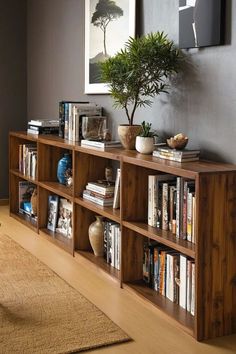 Bookshelf Separate Room, Wooden Bookcase Design, Book Shelves In Dining Room, How To Display Books On A Bookshelf, Book Shelf Behind Couch, Full Bookshelf Aesthetic, Bookshelf Under Tv, Bookshelves Behind Couch, Bookshelf Styling With Books