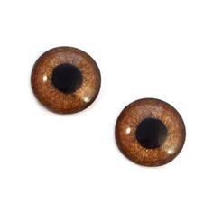 two brown and black eyeballs on a white surface, one with an oval hole in the middle