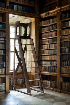 the ladder is leaning against the bookshelf in the library