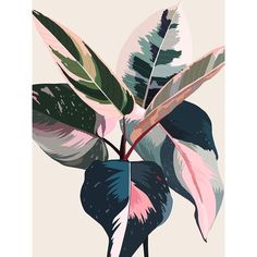 Pink Ficus Poster by Urban Road-VARPDXURP726 Image 1 Pink Ficus, Leaf Mural, Leaf Poster, Mural Inspiration, Digital Art Software, Plant Art Print, Studio Office, Urban Road, Mural Ideas