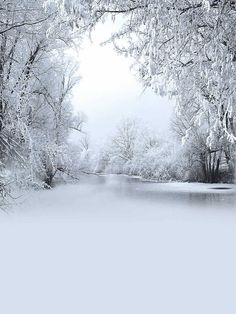 a snowy landscape with trees and water in the foreground