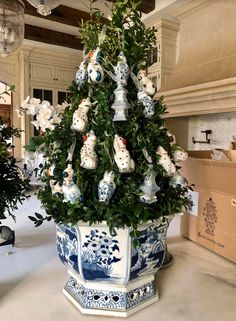 a potted christmas tree with blue and white ornaments on it in the middle of a room