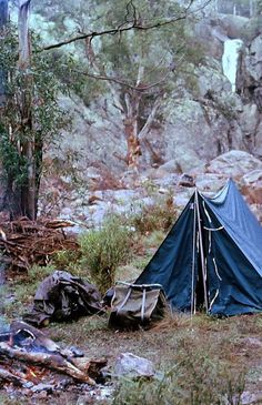 a blue tent sitting in the middle of a forest