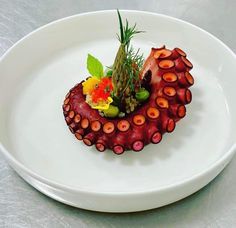 a white plate topped with an octopus dish