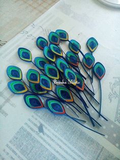 several peacock feathers sitting on top of a piece of paper