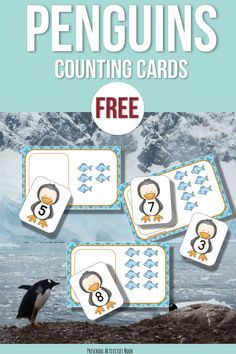 penguin counting cards with penguins on them and the text, free printable for children to use