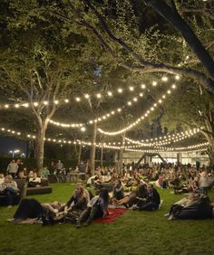 people are sitting on the grass under string lights