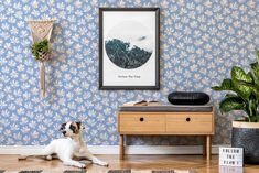 a white and black dog laying on the floor in front of a wallpapered room