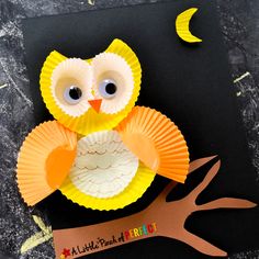 a paper plate owl sitting on top of a tree