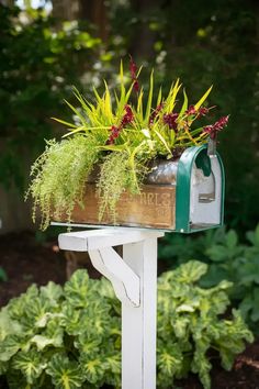 a mailbox with plants growing out of it