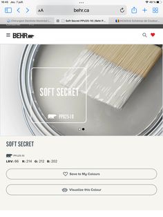 the website for soft secret paints is displayed on a computer screen with an image of a paintbrush