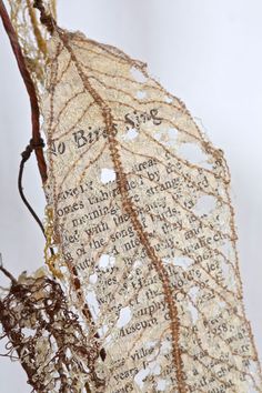 a close up of a leaf with writing on it's back and the leaves are covered in snow