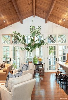 a living room filled with lots of furniture and a tall plant in the middle of the room