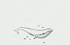 a black and white drawing of a whale swimming in the ocean with fish around it