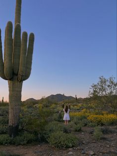 a woman standing next to a tall cactus in the middle of a field with yellow flowers