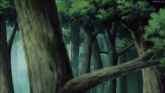 an animated scene of a forest with trees