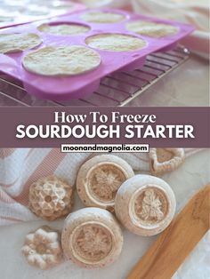 how to freeze sourdough starter with text overlay