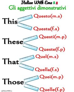 the words in different languages are shown