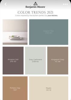 the color trend for 2013 from benjamin moore