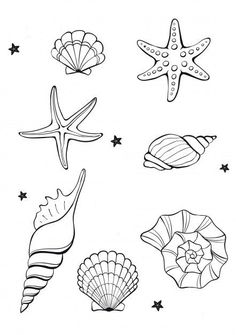 Seashell Coloring Pages, Ocean Drawings, Shell Drawing, Seashell Tattoos, Shell Tattoos, Pola Sulam, Art Tattoos, Coloring Pages Printable