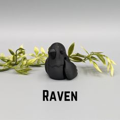 a small black bird sitting on top of a green plant next to the word raven