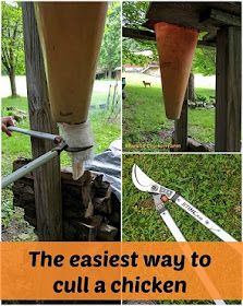 there are pictures of the tools used to build a chicken coop