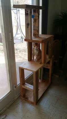 a cat sitting on top of a wooden shelf in front of a sliding glass door