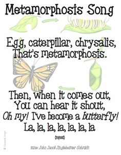 a poem with an image of a butterfly and the words metamophobias song