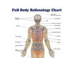 Reflexology Pressure Points, Body Reflexology, Punkty Spustowe, Shiatsu Massage Acupressure, Acupuncture Benefits, Shiatsu Massage