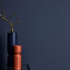 two vases with plants in them sitting on a shelf against a dark blue wall