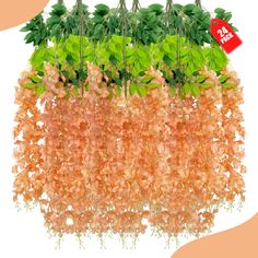 an arrangement of plants hanging from the ceiling in front of a price tag on a white background