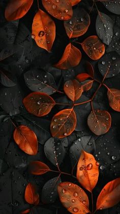 leaves with water drops on them are seen in this image, which is very dark