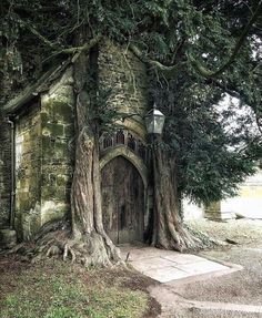 an old stone building with a tree growing out of it's side and a lantern on the door