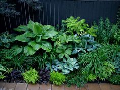 a garden filled with lots of plants next to a wooden fence on top of a sidewalk