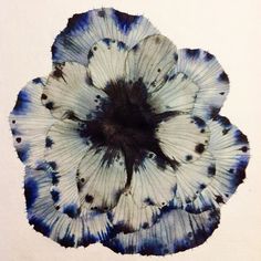 a blue and white flower on a white background