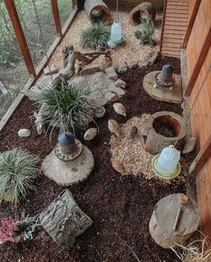 an outdoor area with rocks and plants in the ground, including succulents