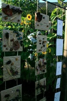 the sunflowers are growing in the garden and hanging on the wall next to each other