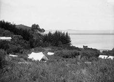 an old black and white photo of tents in the grass near water with mountains in the background